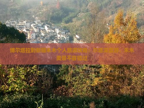 博尔塔拉到新疆禾木个人游