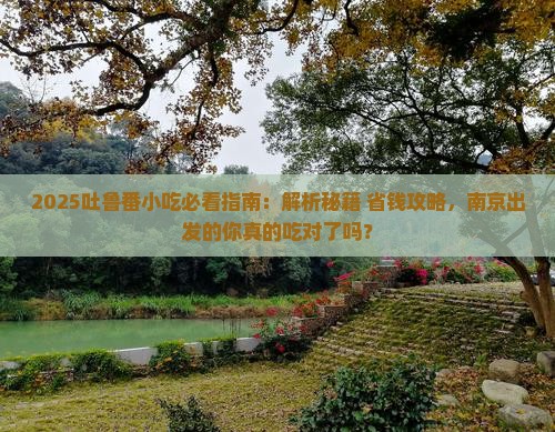 南京去新疆吐鲁番旅游小吃
