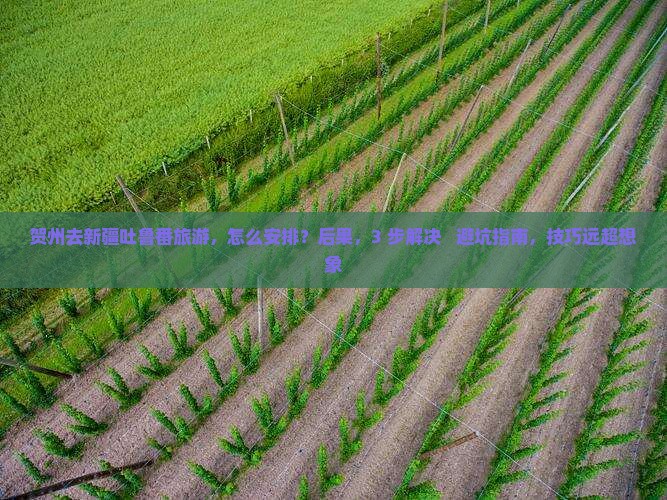 贺州去新疆吐鲁番旅游