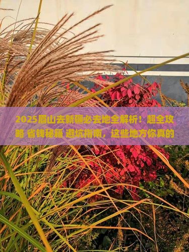 眉山去新疆必去地
