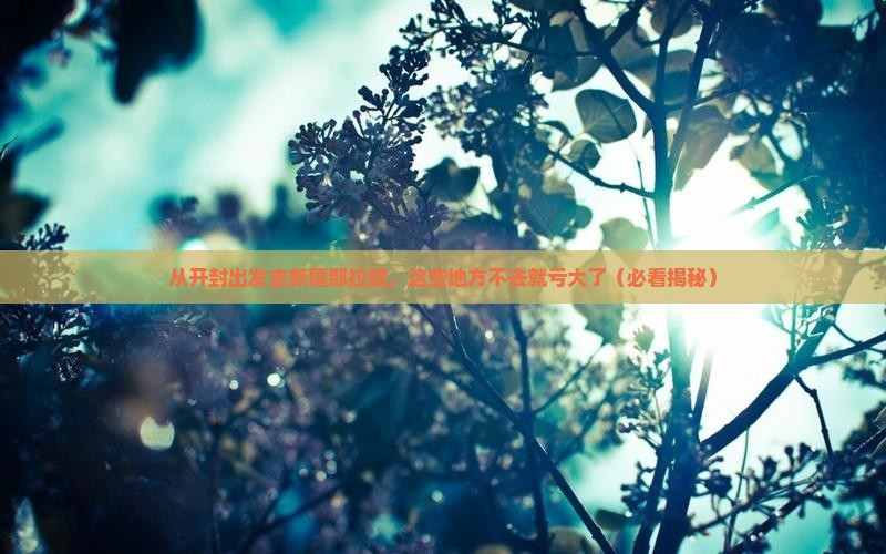 开封去新疆那拉提必去地