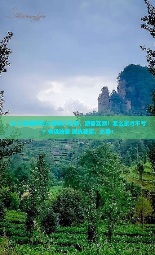 思茅到新疆伊犁大草原六日游