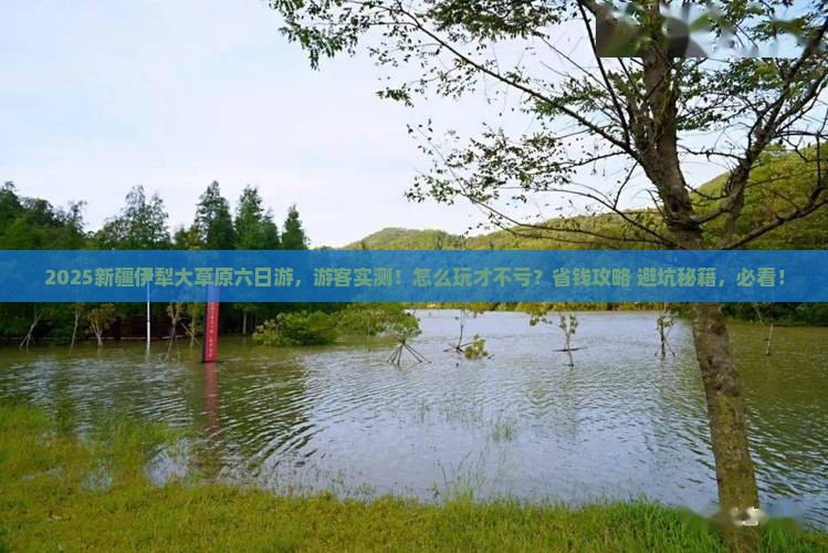 思茅到新疆伊犁大草原六日游
