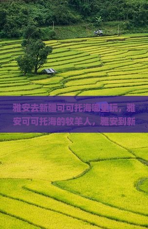 雅安去新疆可可托海哪里玩