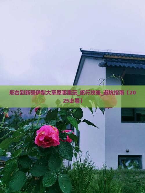 邢台到新疆伊犁大草原哪里玩