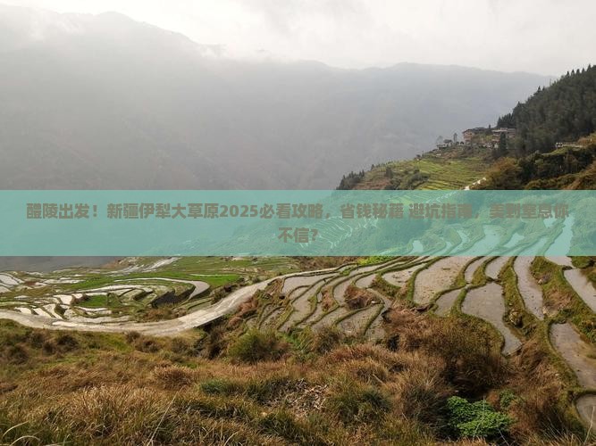 醴陵去新疆伊犁大草原旅游