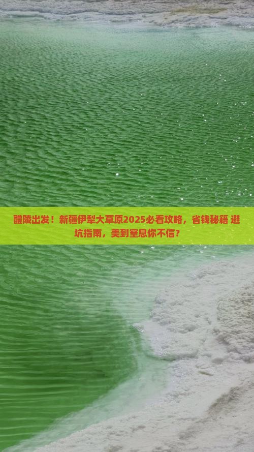 醴陵去新疆伊犁大草原旅游