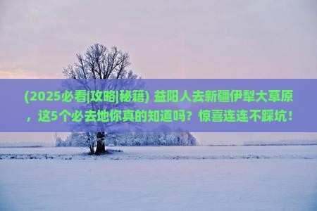 益阳去新疆伊犁大草原必去地