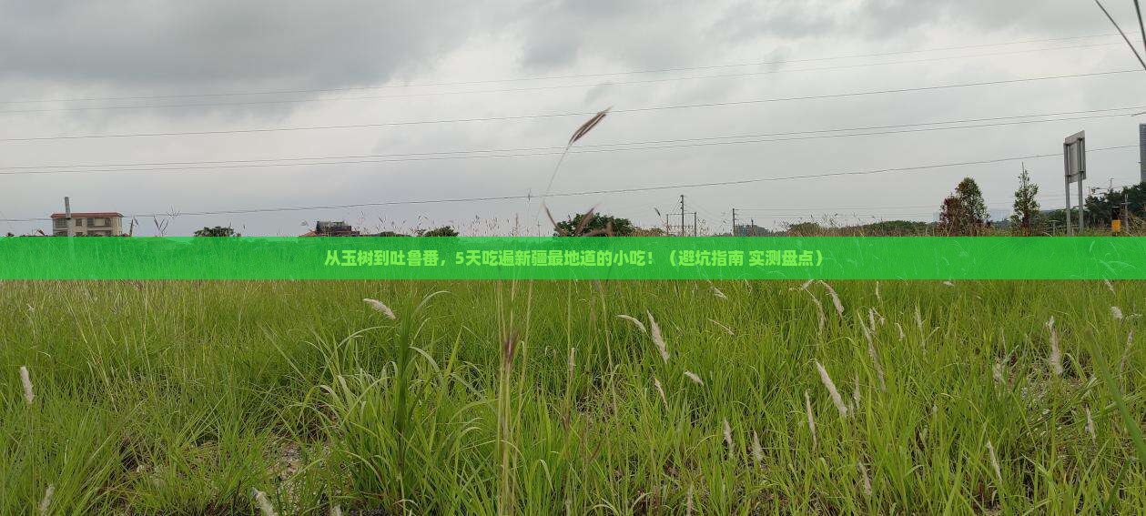 玉树去新疆吐鲁番旅游小吃