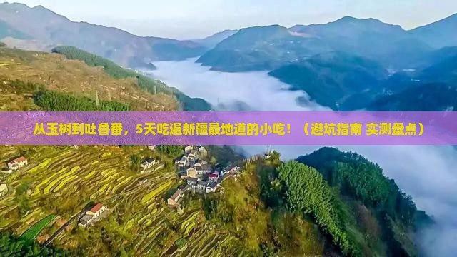 玉树去新疆吐鲁番旅游小吃