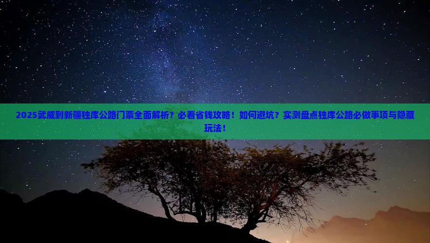 武威到新疆独库公路门票