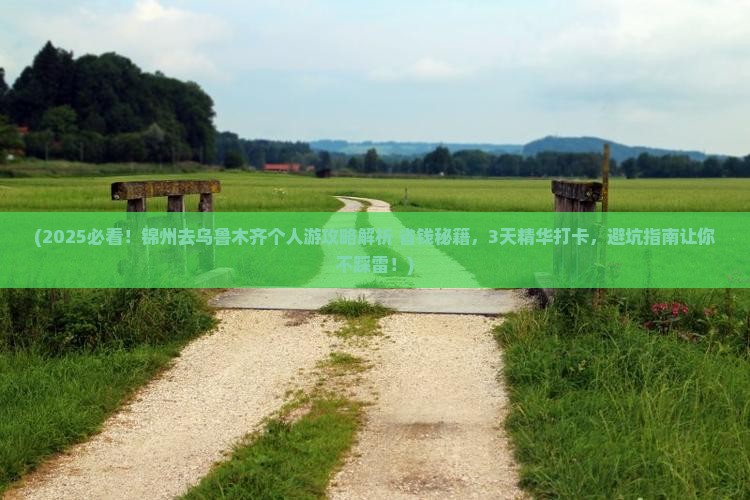 锦州去新疆乌鲁木齐个人游