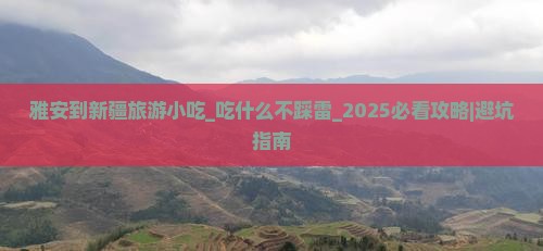 雅安到新疆旅游小吃
