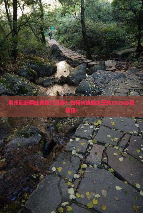 荆州到新疆吐鲁番六日游