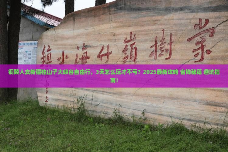 铜陵去新疆独山子大峡谷自由行