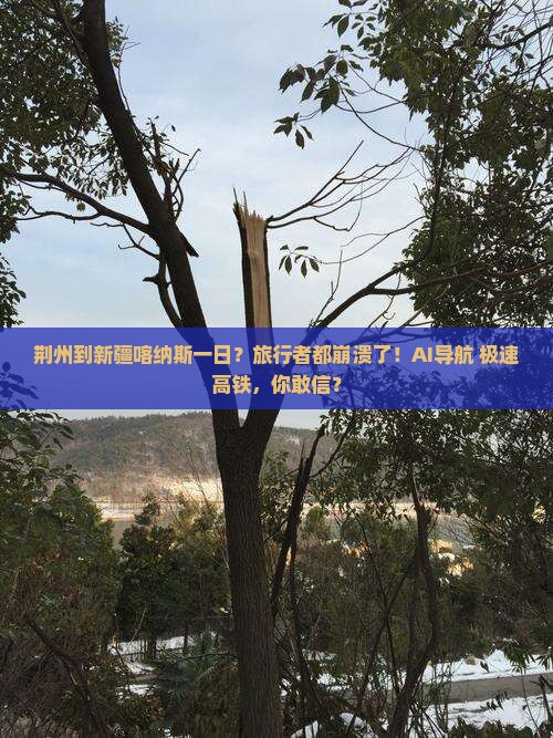 荆州到新疆喀纳斯一日