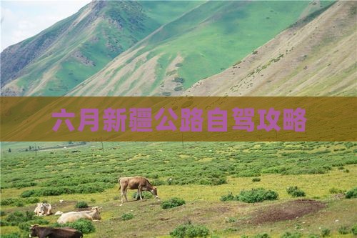 六月到新疆独库公路攻略