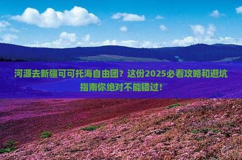 河源去新疆可可托海自由团