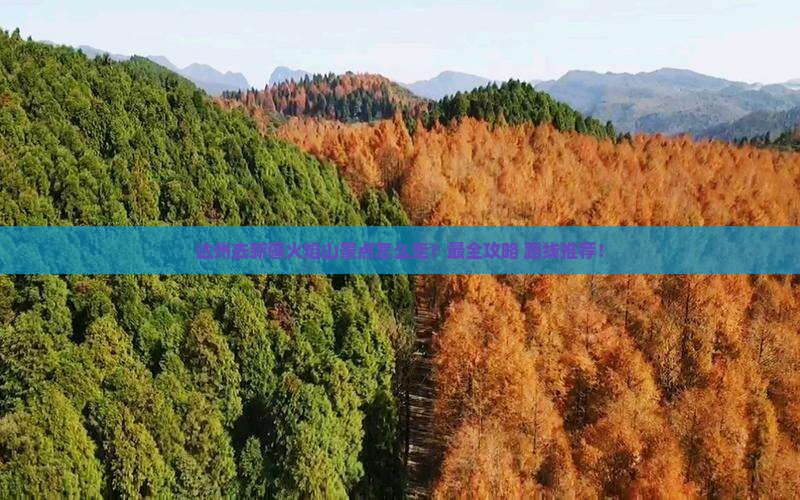 达州去新疆火焰山景点