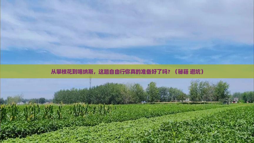 攀枝花去新疆喀纳斯自由行