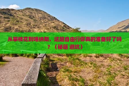 攀枝花去新疆喀纳斯自由行