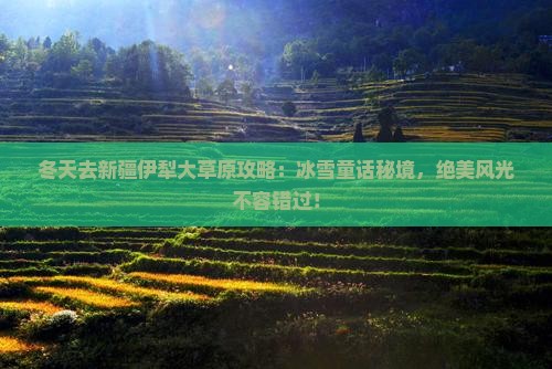 冬天去新疆伊犁大草原攻略