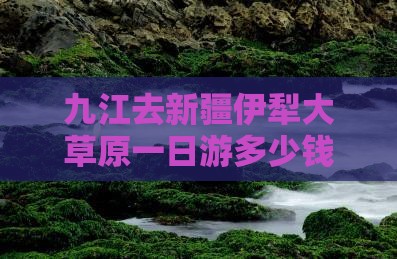 九江去新疆伊犁大草原一日