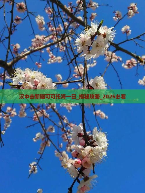 汉中去新疆可可托海一日
