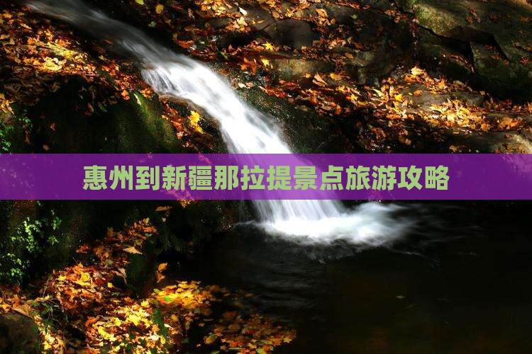 惠州到新疆那拉提景点