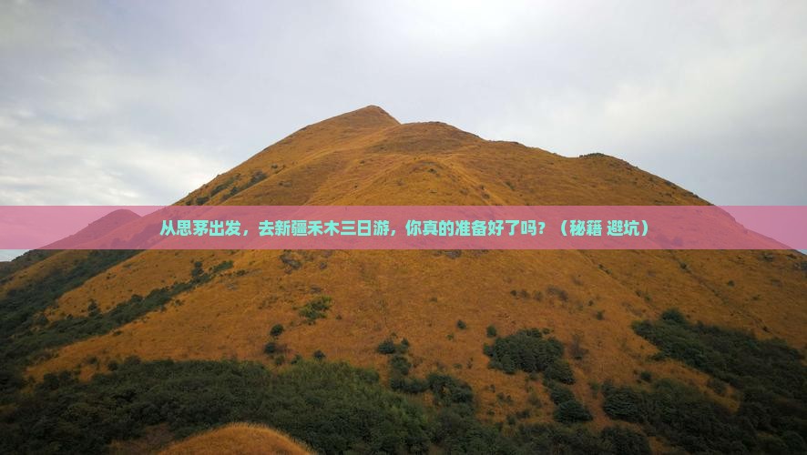 思茅去新疆禾木三日游