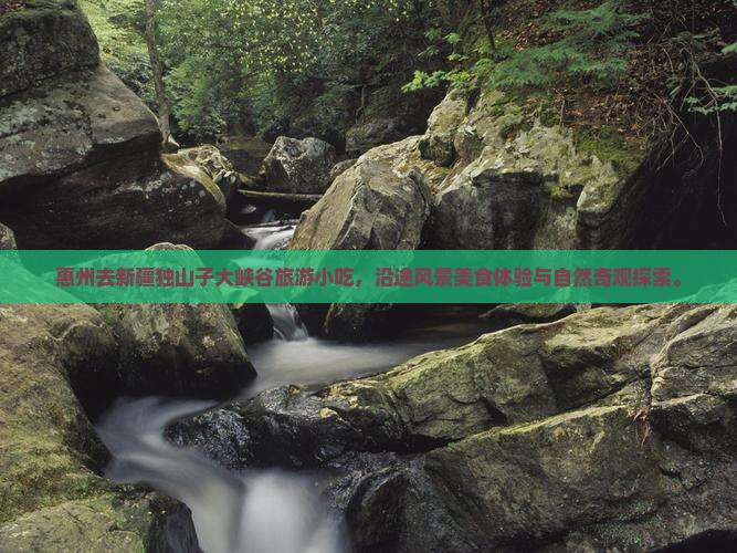 惠州去新疆独山子大峡谷旅游小吃