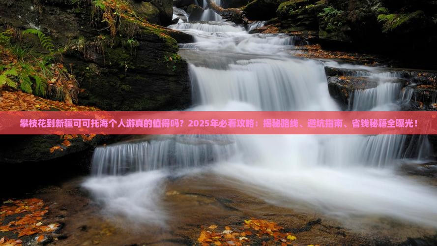 攀枝花到新疆可可托海个人游
