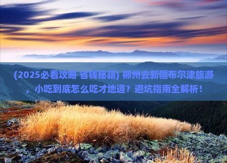 郴州到新疆布尔津旅游小吃