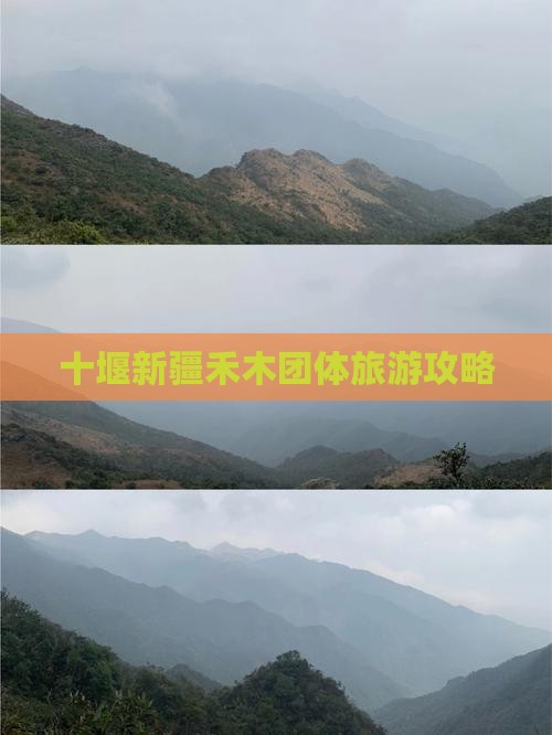 十堰去新疆禾木团体旅游