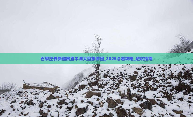石家庄去新疆赛里木湖大型旅游团