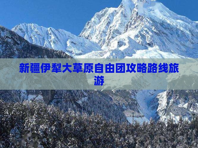 七月到新疆伊犁大草原自由团