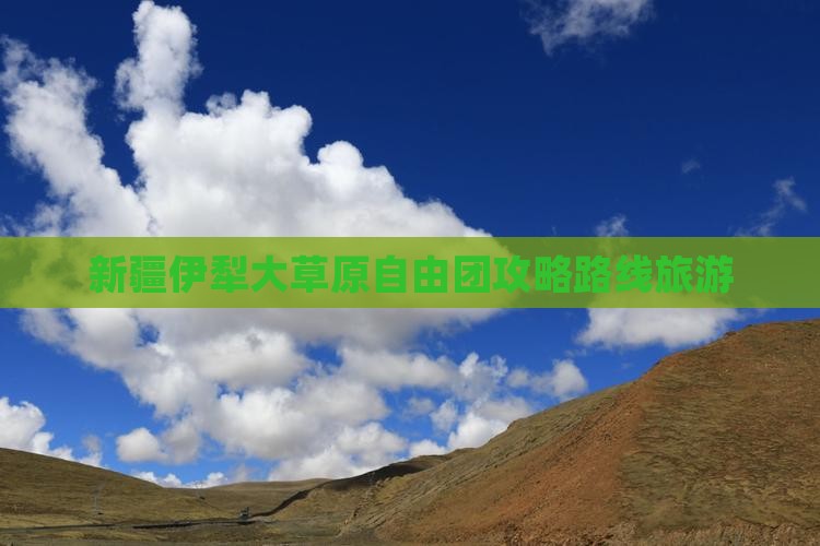 七月到新疆伊犁大草原自由团