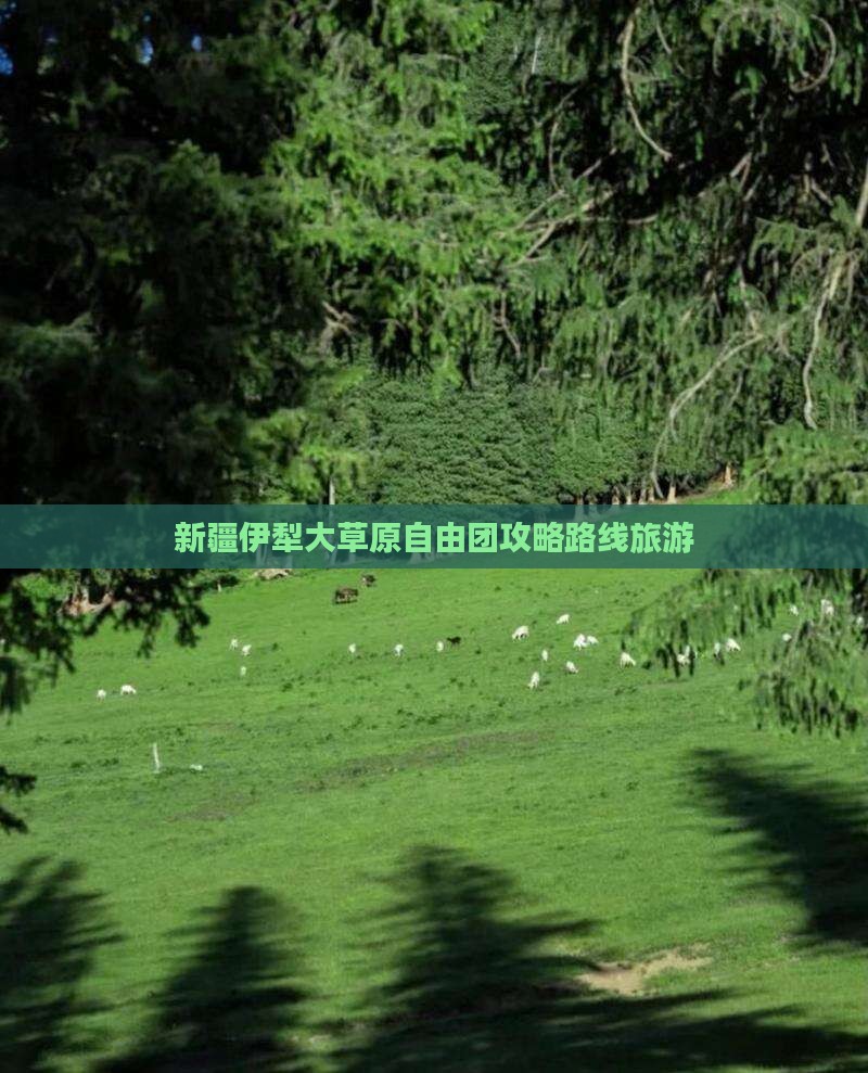 七月到新疆伊犁大草原自由团