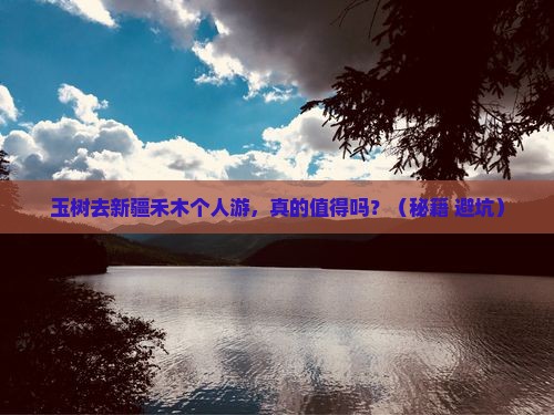 玉树去新疆禾木个人游