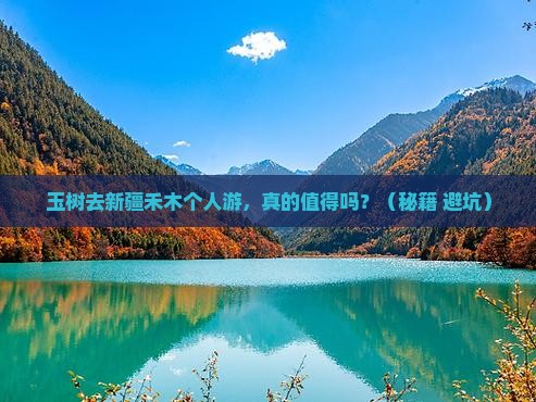 玉树去新疆禾木个人游