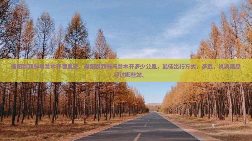 衡阳到新疆乌鲁木齐哪里玩