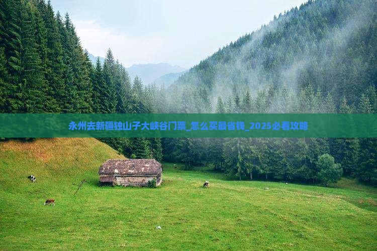 永州去新疆独山子大峡谷门票
