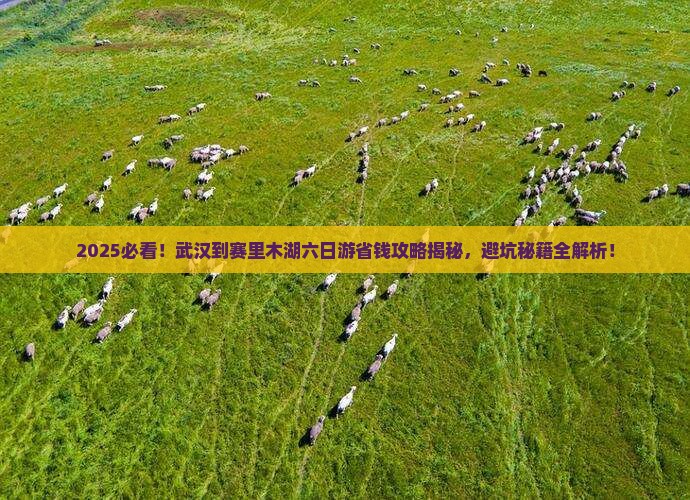 武汉到新疆赛里木湖六日游