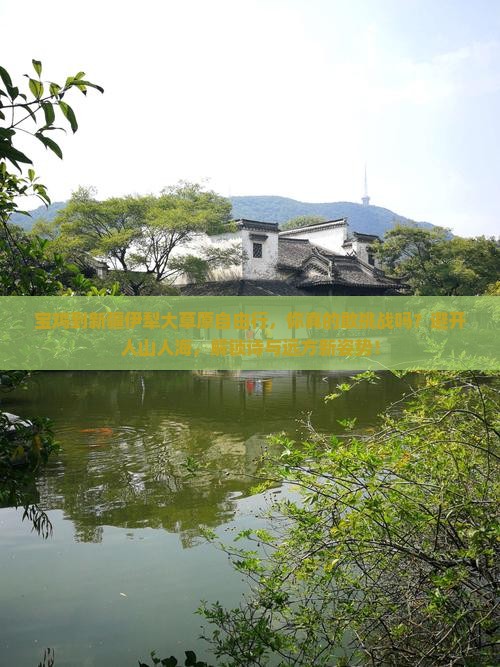 宝鸡到新疆伊犁大草原自由行