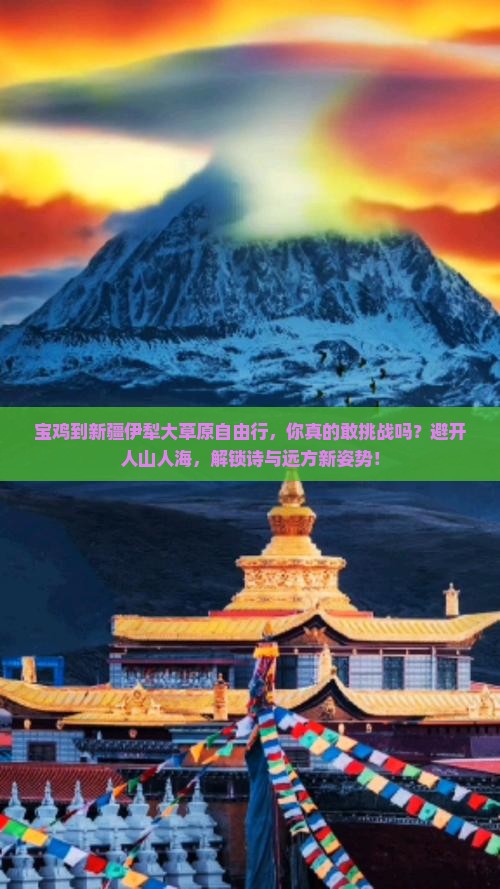 宝鸡到新疆伊犁大草原自由行