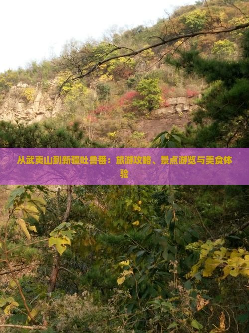 武夷山到新疆吐鲁番旅游小吃