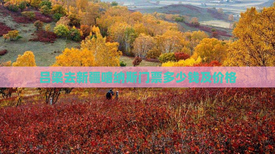 吕梁去新疆喀纳斯门票