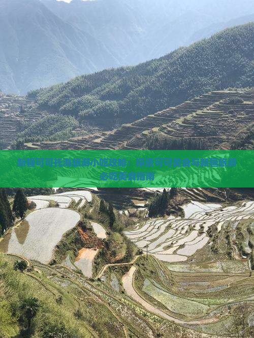 五月去新疆可可托海旅游小吃