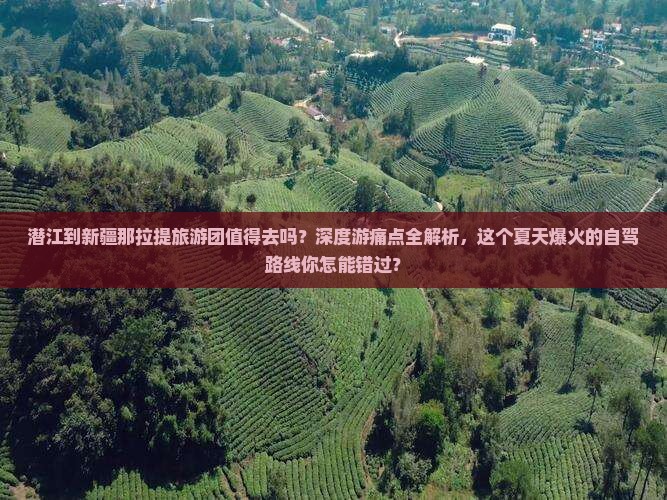 潜江到新疆那拉提大型旅游团