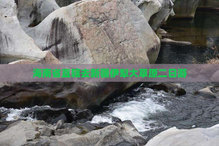 海南省直辖去新疆伊犁大草原二日游